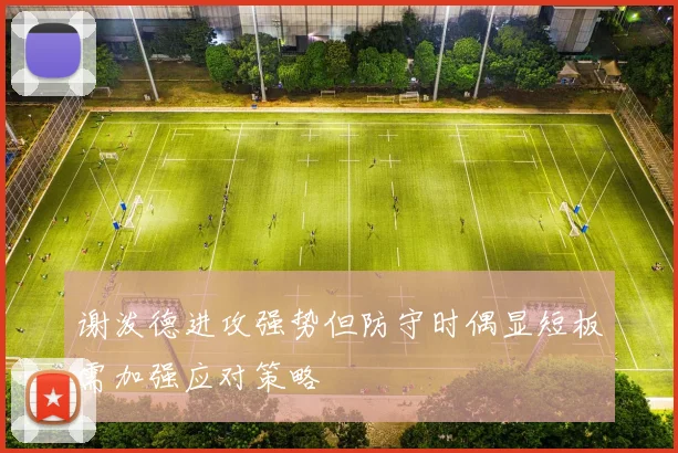 谢泼德进攻强势但防守时偶显短板需加强应对策略