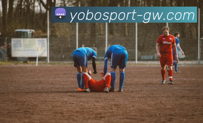 yobo体育平台生态图