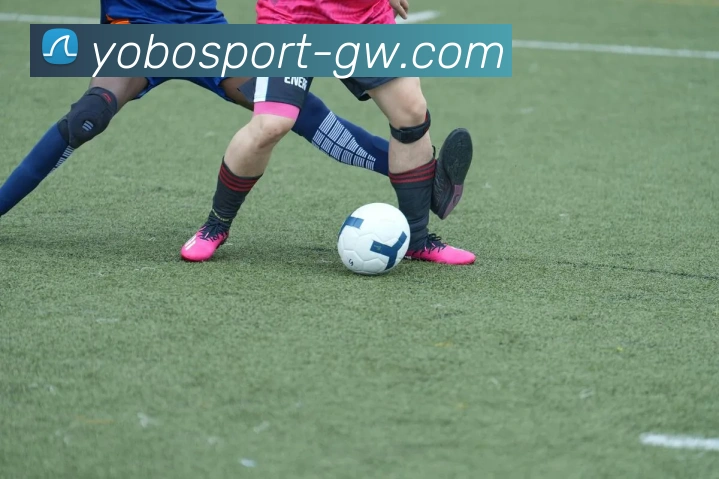 yobo体育APP 封面图