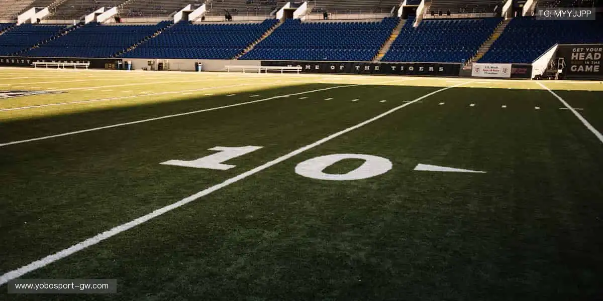 🎙️深度解读，冠军之路！🏆揭秘赛场背后的热血与汗水！